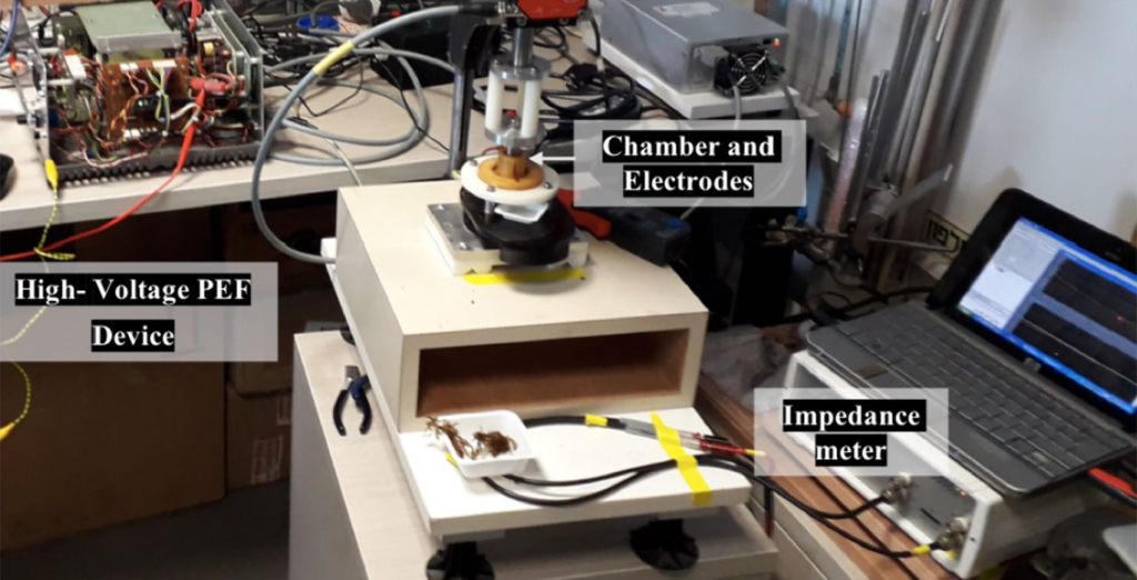Traditional methods for assessing seaweed health often rely on visual inspection or invasive sampling limiting their sensitivity and repeatability. To simulate physiological disruption this study used pulsed electric field (PEF) electroporation introducing cellular stress without visible changes. Electrical impedance spectroscopy (EIS), performed using the Sciospec ISX-3, revealed measurable differences in impedance profiles before and after treatment. These findings underscore how EIS, supported by high-resolution instrumentation can provide non-destructive insights into tissue condition and cellular integrity. Interested in real-time marine monitoring ? Similar to applications in marine biology, our EIS technology also supports tissue monitoring in dynamic bioreactor cultures