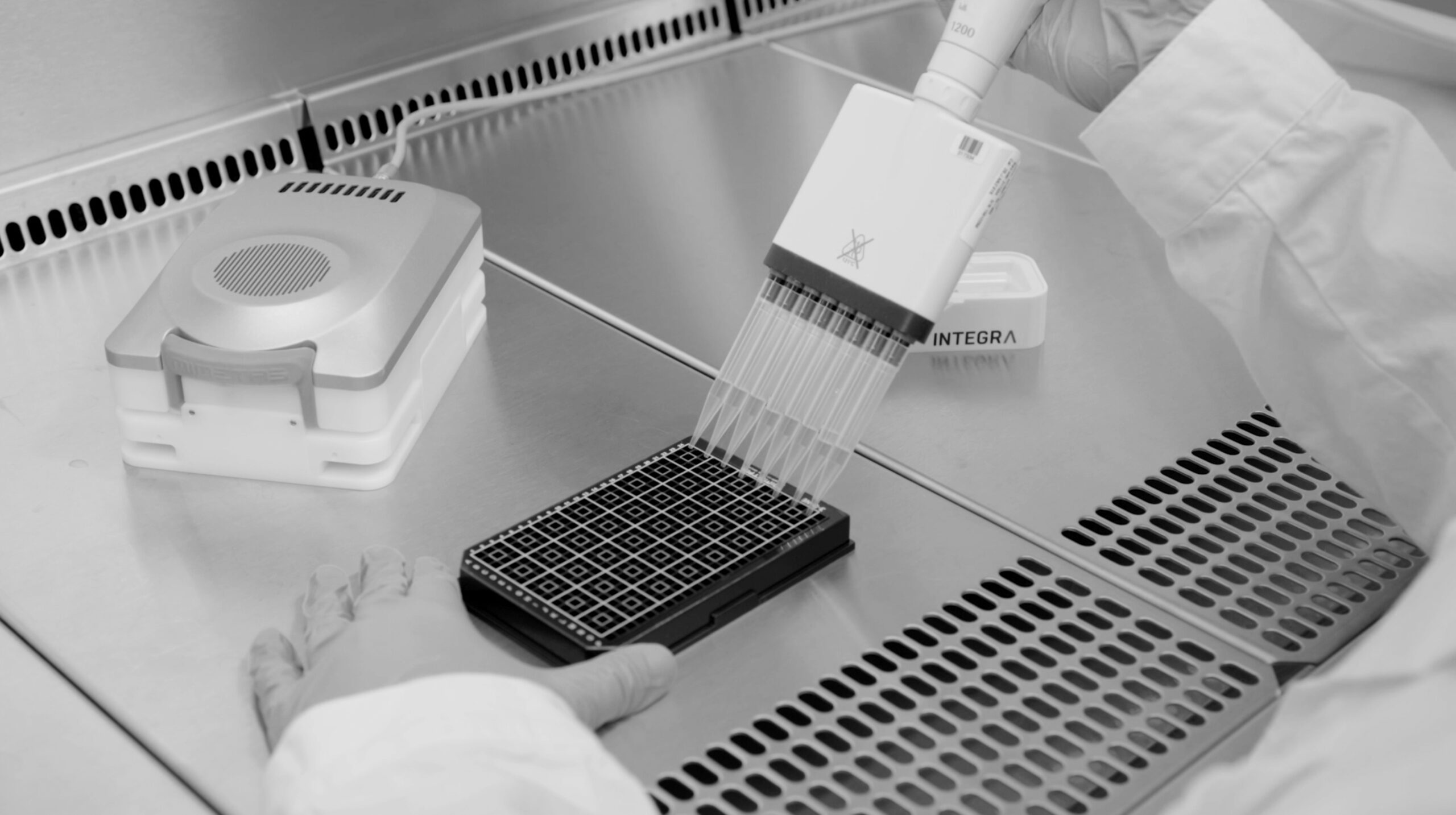 Researcher performing high-throughput screening using the Mimetas OrganoTEER platform powered by Sciospec.